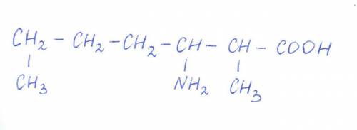 Формула 2,6-диметиламиногексановой кислоты