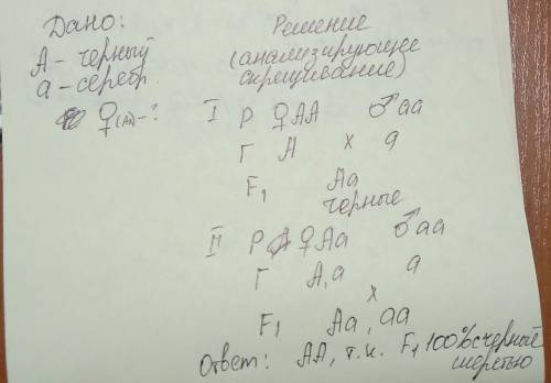 Задача по генетике. Очень Черную норку скрестили с серебристой норкой. Серебристый цвет шерсти – рец