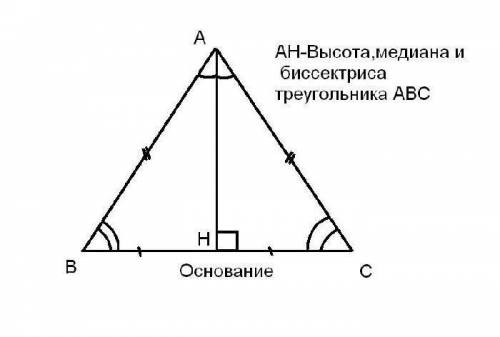 Постройте равнобедренный треугольник по основанию и высоте,проведенной к основанию.