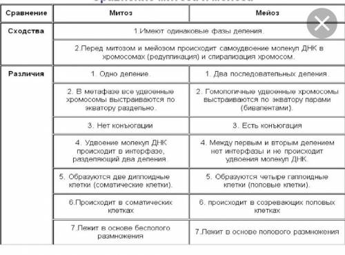 Каковы черты сходства и различия процессов митоза и мейоза