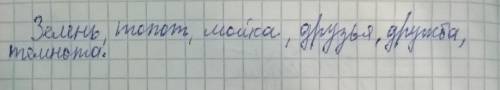 Выпишите только те слова, которые являются существительными Зелень, зелёный, зеленеть. Топот, топота