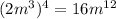 (2 {m}^{3} ) {}^{4} = 16 {m}^{12}