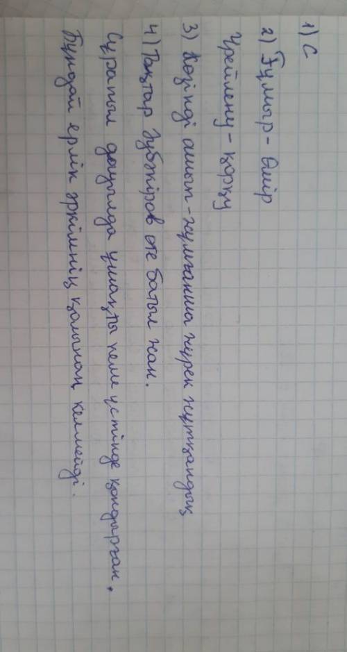 СОЧ ПО КАЗАХСКОМУ ЯЗЫКУ