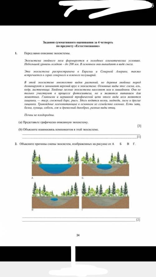 Соч по естесвознанию 6 класс 4 четверть​