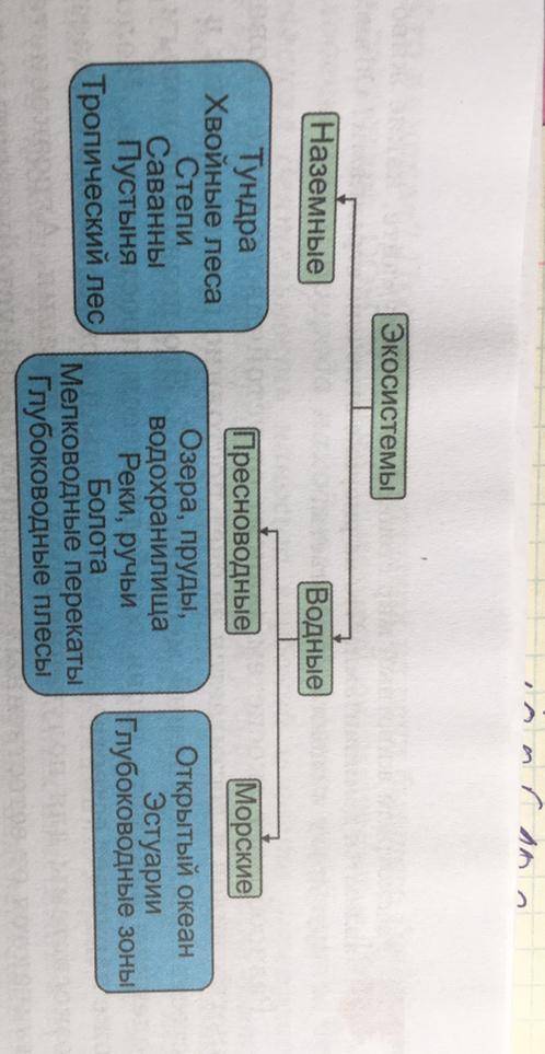 Суммативное оценивание за 4 четверть по «Естествознании» 6 классЗадание 1. Заполните, пустые ячейки