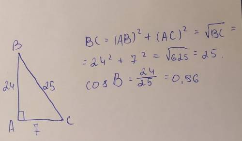 Катети прямокутного трикутника дорівнюють 7 см і 24 см. Знайдіть косинус меншого гострого кута.