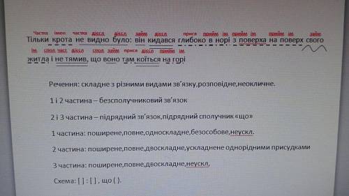 ДО ТЬ БУДЬ-ЛАСКА УКР МОВА РОЗБІР РЕЧЕННЯ: Тільки крота не видно було: він кидався глибоко в норі з п
