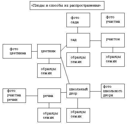 6 класс биология ответе на во