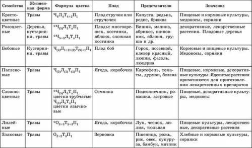 Семейства Строение вегетативных органов Формула цветка Соцветие Плод,Представители,Значение Лилейны