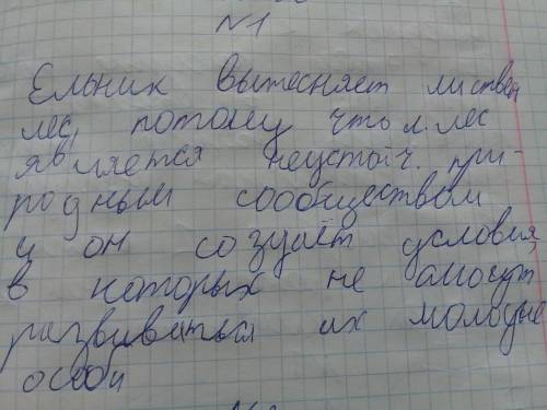 Ельник постепенно вытесняет лиственный лес. Почему это происходит?