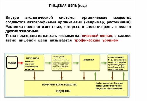 Задания суммативного оценивания за 4 четверть для учащихся 6 класса по предмету «Естествознание» вре