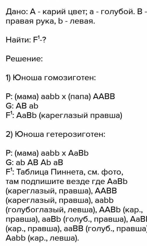 НУЖНЫ РЕШЕНИЯ ЗАДАЧ Задача № 1. У людей карий цвет глаз доминирует над голубым лучше владеть правой