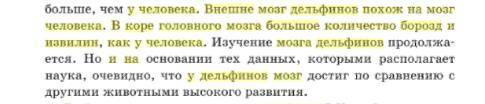 Кора переднього мозку має борозни та звивини у: а) жаби гостромордої б) страуса африканського в) чор