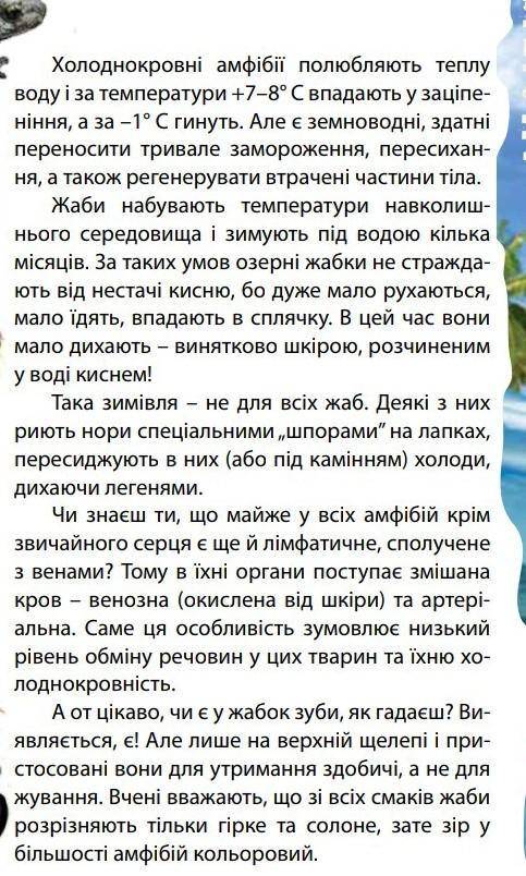 Як пристосувалися амфібії до зимівлі, чому вони не замерзають?