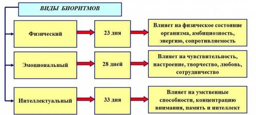 !1. Що таке біоритми? 2. Яка наука вивчає біоритми? 3. Які є види біоритмів? 4. Наведіть приклади зо