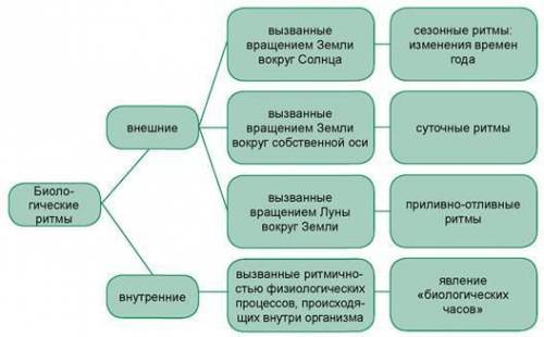 !1. Що таке біоритми? 2. Яка наука вивчає біоритми? 3. Які є види біоритмів? 4. Наведіть приклади зо