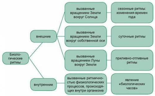 1. Що таке біоритми? 2. Яка наука вивчає біоритми? 3. Які є види біоритмів? 4. Наведіть приклади зов