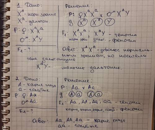 1. МАТЬ- дальтоник. ОТЕЦ-нормальное зрение. ОПРЕДЕЛИТЬ генотип,фенотип и пол детей по этому признаку