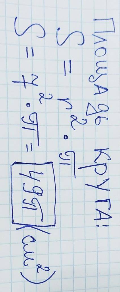 Знайдіть площу круга радіус якого становить 7 см​
