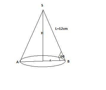 Образующая конуса равна 12 см и наклонена к плоскости основания под углом в 60*. Найдите высоту и ра