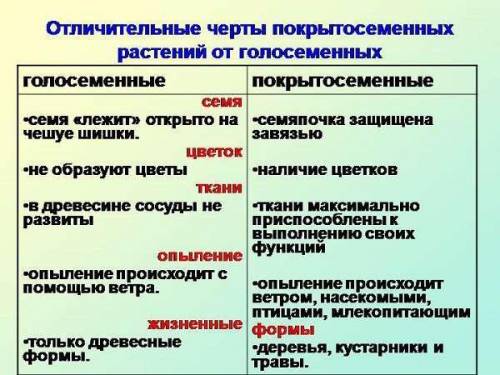 Какие растения покрытосеменные а какие голосеменные