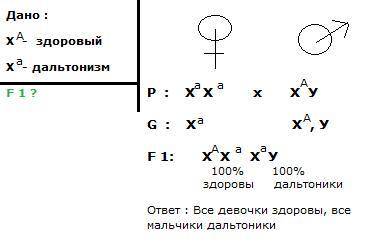 1) Мать – дальтоник, отец здоров. Каковы их генотипы? Какой фенотип у детей? 2) У дрозофилы гены дли