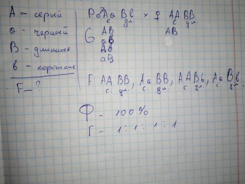 Решите задачу. У плодовой мушки дрозофилы серый цвет и длинные крылья - это доминантные признаки, а