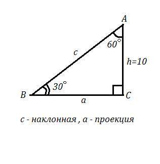 Найти проекцию наклонной и наклонную, если перпендикуляр равен 10, а угол между перпендикуляром и на