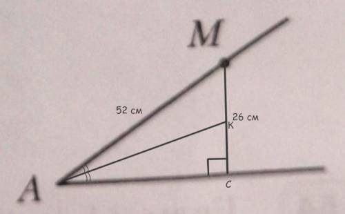 AM = 52 см. Расстояние от точки M до второй стороны угла равно 26 см. Най-дите угол между биссектрис