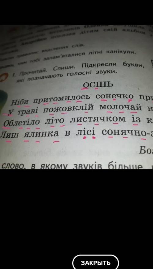 Вправа 6. Підкресли букви, які позначають голосні звуки