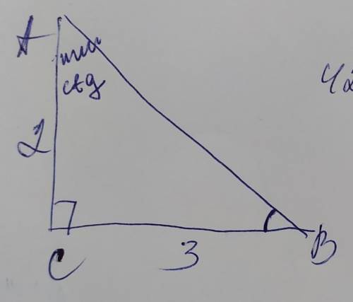 Катети прямокутного трикутника дорівнюють 3см і 2см. Знайдіть:1. Тангес кута , прилеглого до більшог