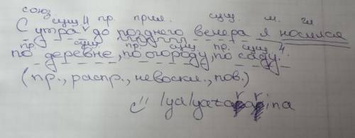 С утра и до позднего вечера я носился по деревне, по огороду, по саду. Синтаксический разбор