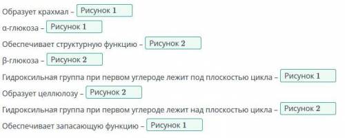 Соотнеси с рисунками формы глюкозы отличительные особенности строения молекулы и функции.