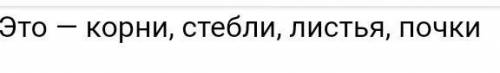 Какие органы растения называются вегетивными