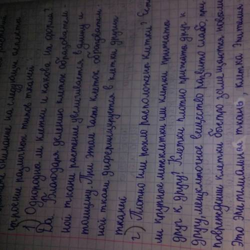 Однородны ли клетки и какова их форма? 2. Плотно или рыхло расположены клетки? 3. Есть ли крупные ме