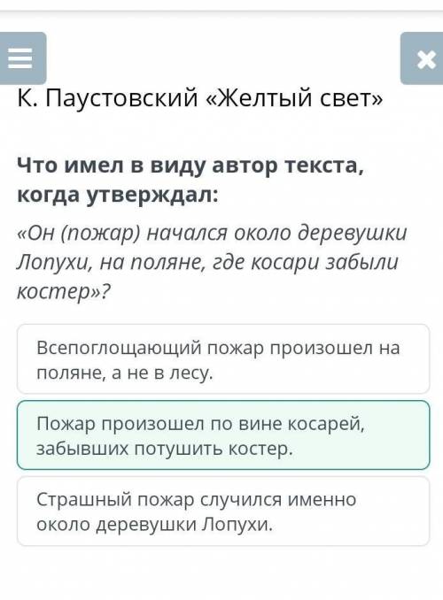 Что имел в виду автор текста, когда утверждал: «Он (пожар) начался около деревушки Лопухи, на поляне