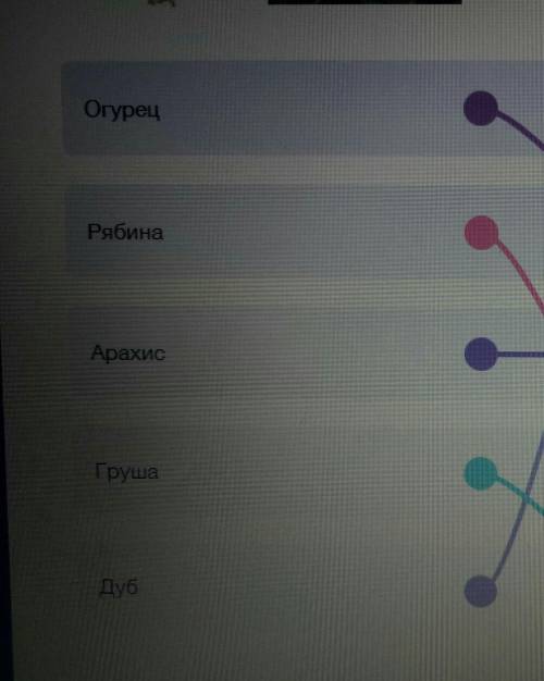 Соотнесите названия плодов и растений. Некоторые названия плодов могут использоваться неоднократно и