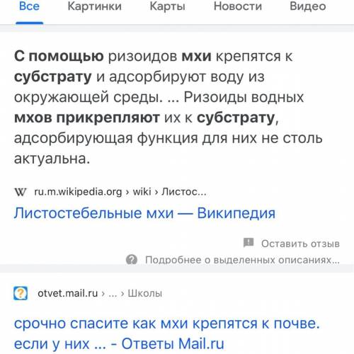 Mхи прикрепляются к субстрату с корней?​