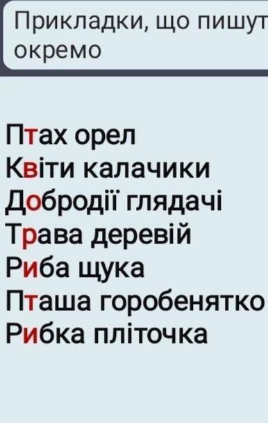 81. 1. Випишіть словосполучення у дві колонки: 1) ті, що пишуться через дефіс; 2) ті, що пишуться ок