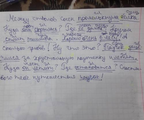 Между стволов сосен промелькнула белка. Куда она скрылась? Где ее домик? Кругом стоит тишина. Хорошо