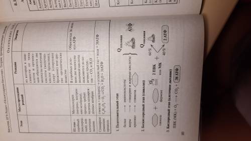 Мне нужно сдать характеристики биосинтеза белка фотосинтеза и энергетического обмена Где происходит,