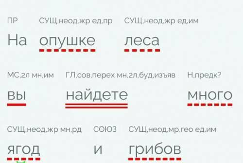 Подбери к предложению подлежащее и сказуемое на опушке леса вы найдете много ягод второе пчёлы собра