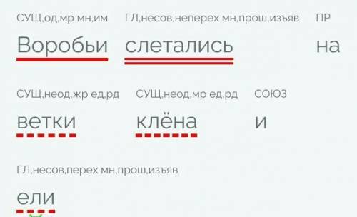 Подбери к предложению подлежащее и сказуемое на опушке леса вы найдете много ягод второе пчёлы собра