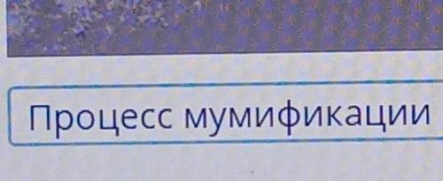 определить действие изображённые на древней египетской росписи 1 лечение больного процесс мумификаци