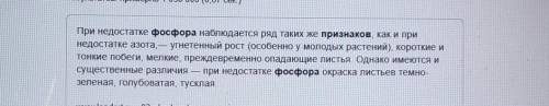 1)По каким признакам определяется недостаток фосфора в питании растения? 2)Как распознать нехватку к