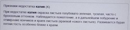 1)По каким признакам определяется недостаток фосфора в питании растения? 2)Как распознать нехватку к