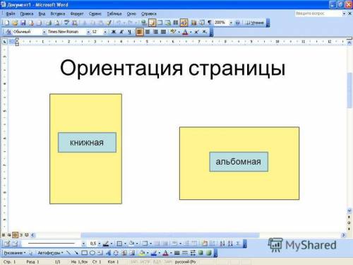 Що таке книжкова й альбомна орієнтація сторінки звіту?