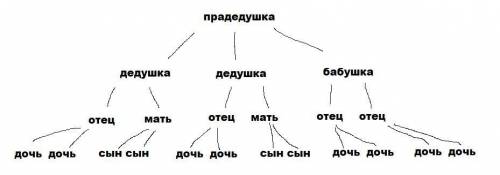 Упрадедушки два сына и дочь. У каждого из сыновей праде- душки — сын и дочь, а у его дочки — два сын