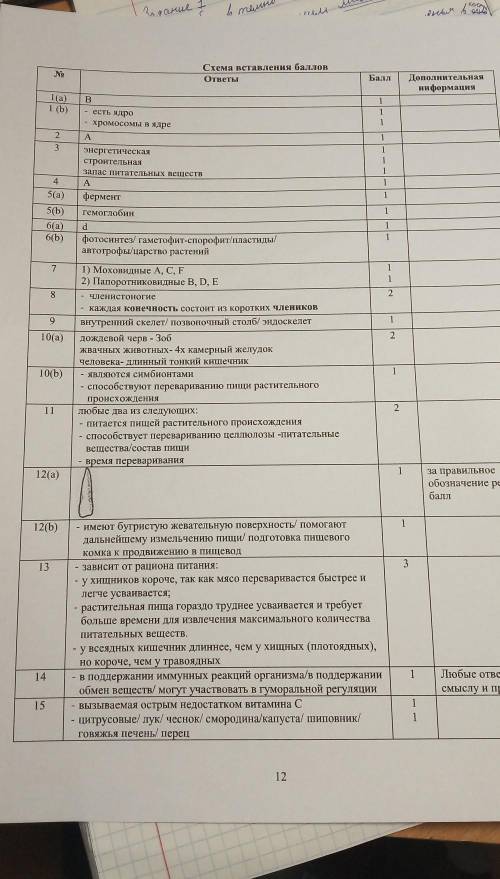 ЗАДАНИЯ СУММАТИВНОГО ОЦЕНИВАНИЯ за 1 четверть по предмету «Биология»1. На рисунке изображены клетки