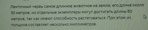 Сколько метров в длину у ленточного червя?